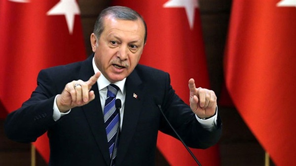 برلماني مصري: أردوغان استغل ضعف سوريا وليبيا للاستيلاء على ثرواتهما