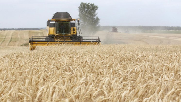 الرئيس الروسي يطمن العالم بتصدير 50 مليون طن من القمح والحكومة اليمنية تحذر من النفاذ بإيعاز من رجل أعمال تفاصيل